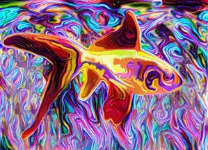 Golden Fish